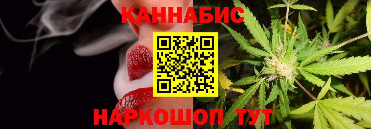 Каннабис семена Сальск